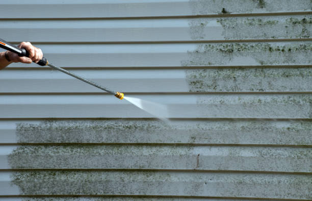Best Building Exterior Washing  in Frostburg, MD